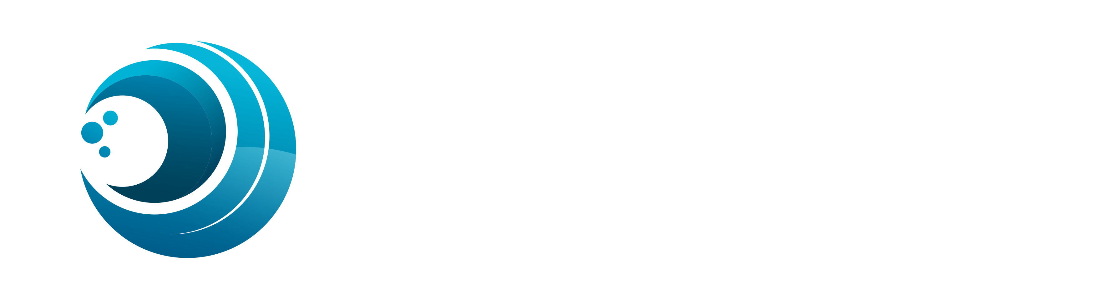 www.merireitit.fi